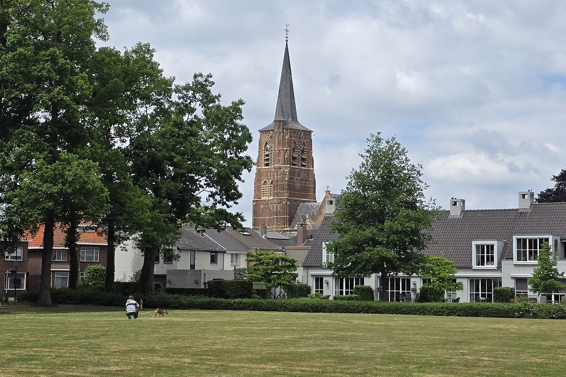 Ingetrokken kapvergunning voor 107 bomen in Loon op Zand