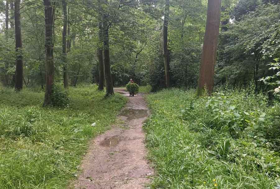 Meehelpen in het Slingerbos op 22 juni