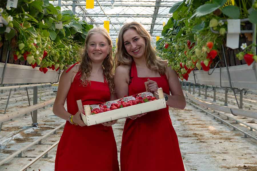 Zaltbommel heeft Aardbeienkoningin en Prinses