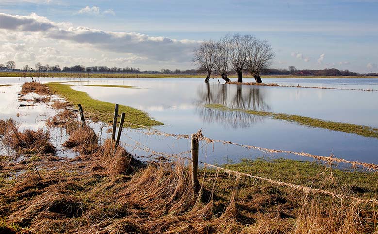 Hoogwatergolf uit Duitsland leidt hier niet tot problemen