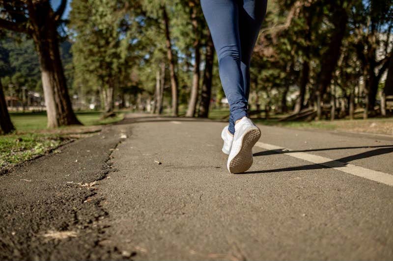 Wandelroutes 25 jaar Maasdriel gaan binnenkort open