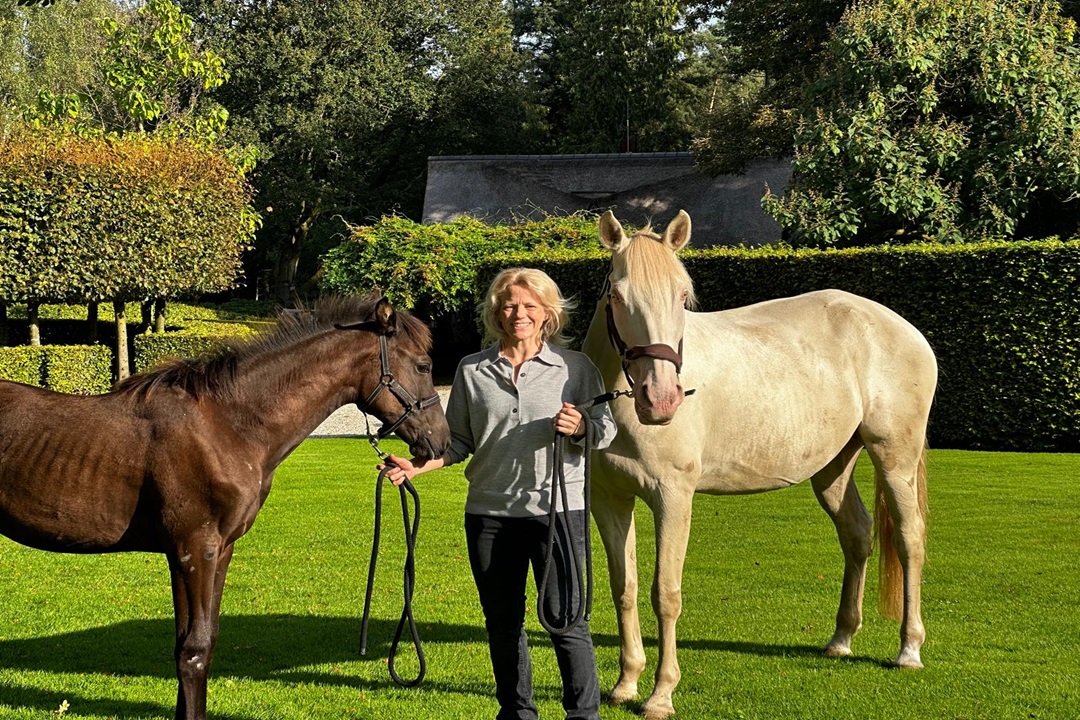 Flinke subsidie voor onderzoek naar biodiversiteit op paardenhouderijen