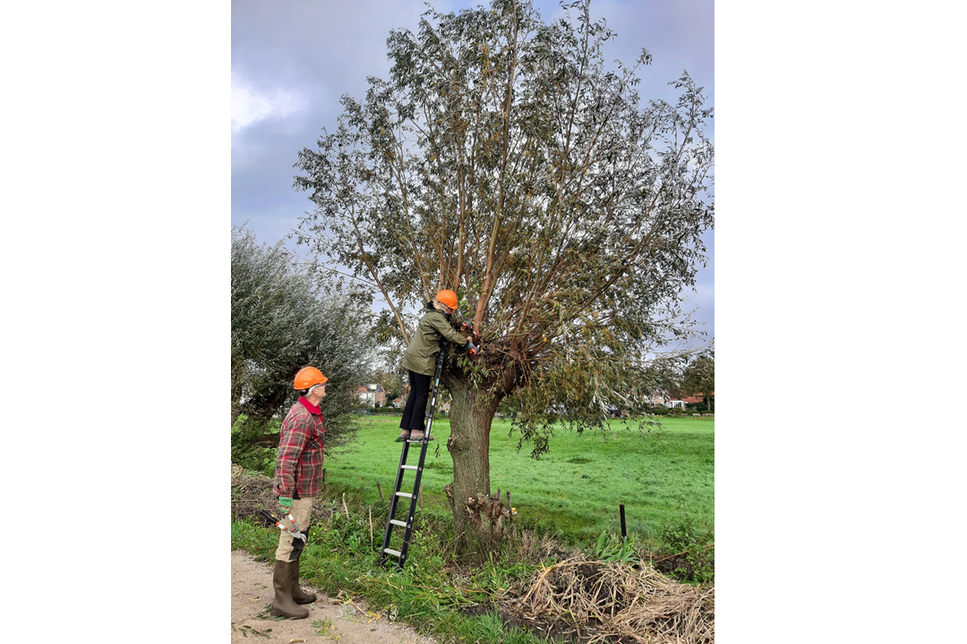 De Natuurwerkdagen komen eraan! Doe mee in Ede, Wageningen en omgeving