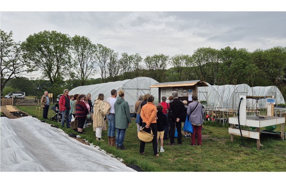 Eerste oogstweek bij regeneratieve boerderij De Roesteling 