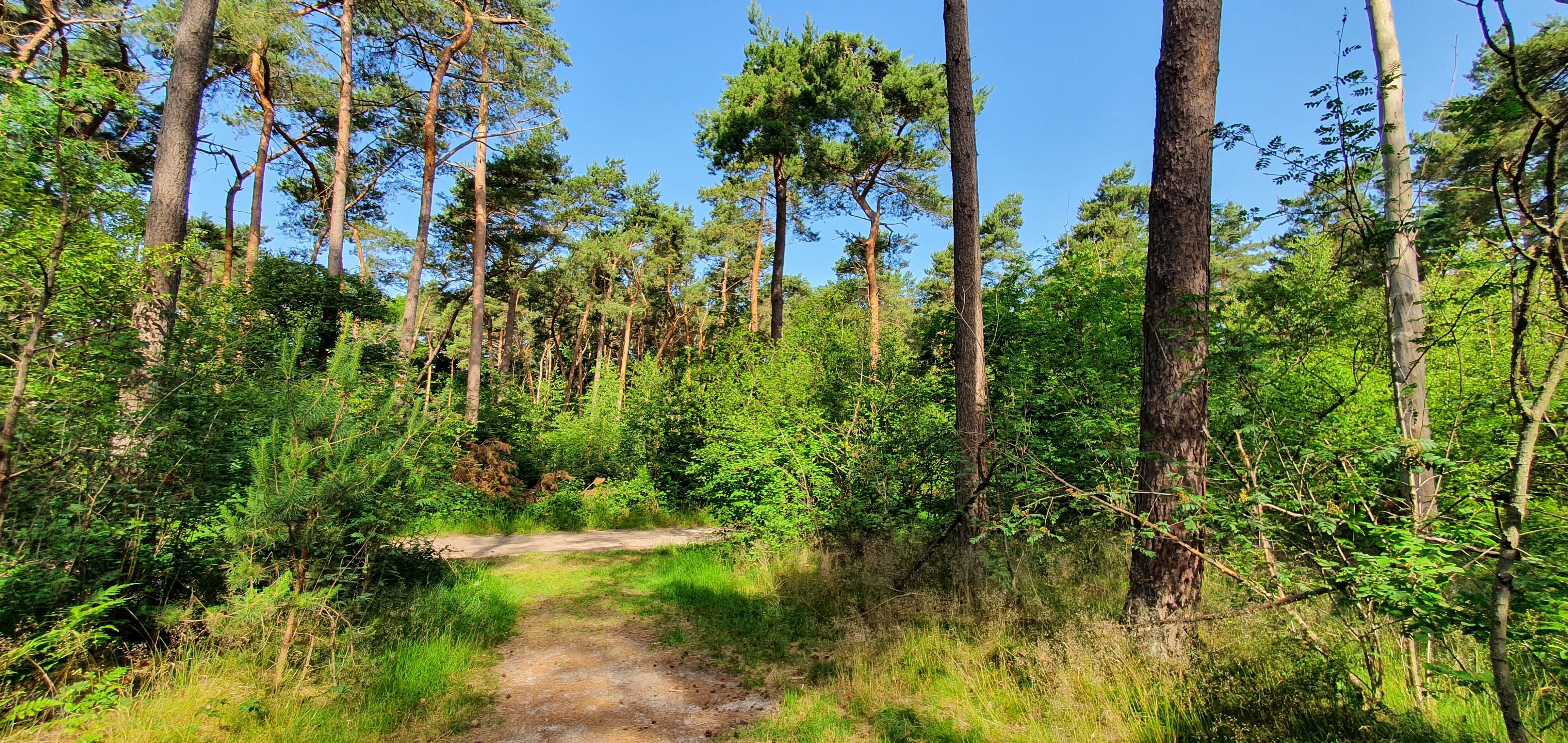Pauwelsdag 2026 laat bezoekers het landschap rond Tilburg ontdekken