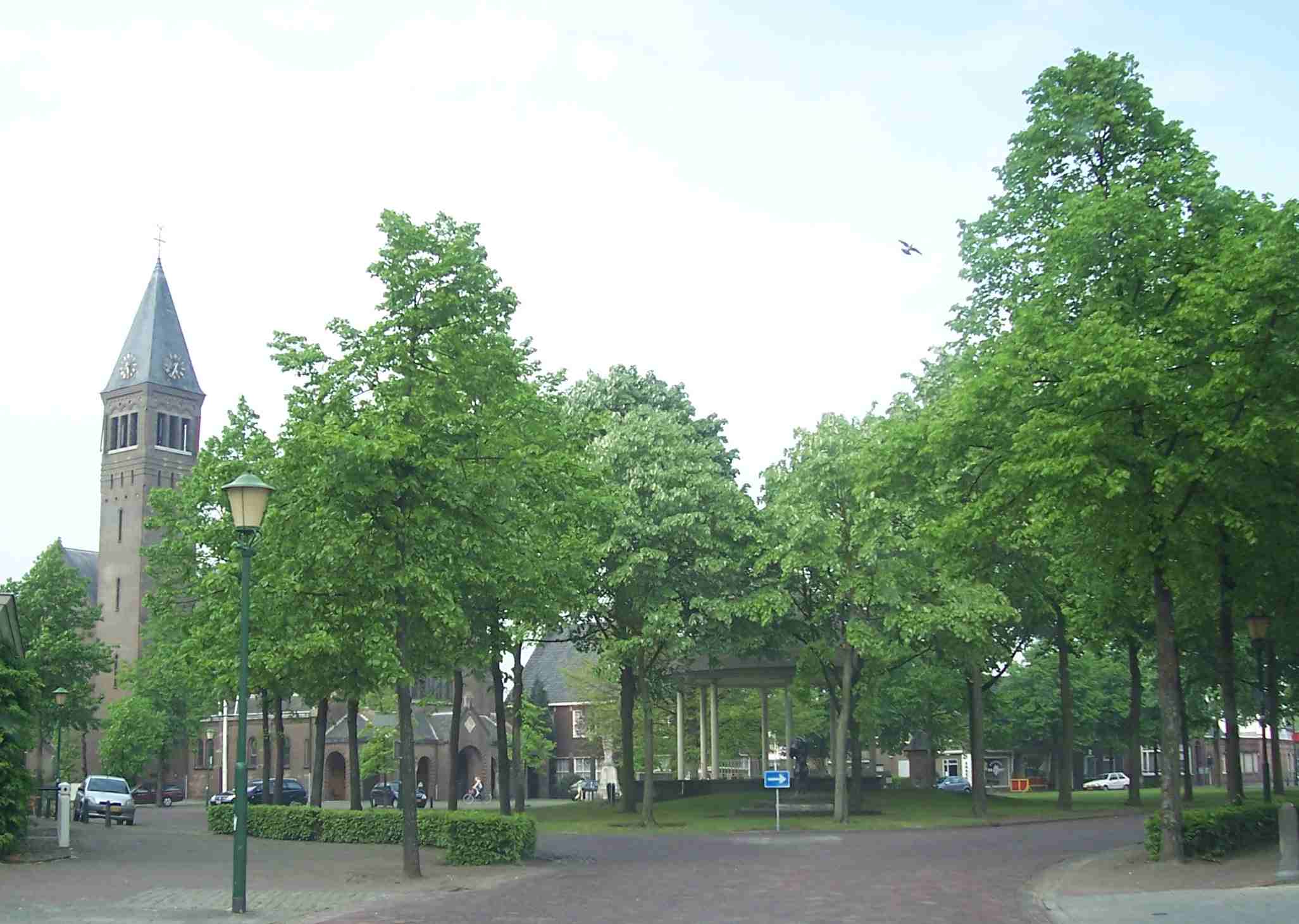 Gehandicaptenparkeerplaats Lupinelaan Waalre opgeheven